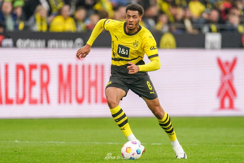 项高风险高 项高风险高