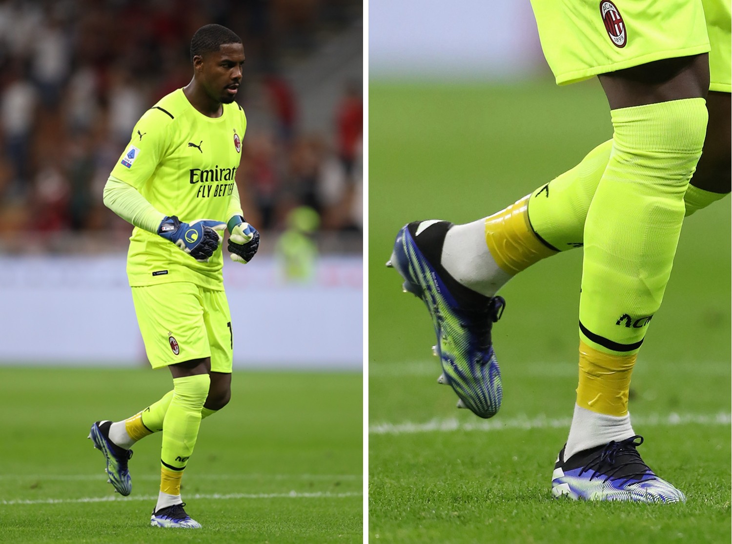 拉菲尼亚 拉菲尼亚